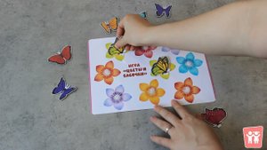 Игра на липучках "Цветы и бабочки"