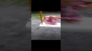 влог с Лизой