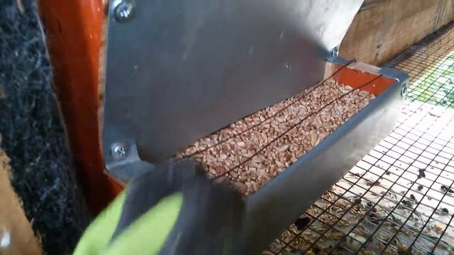 Кролики выгребают корм??? Есть выход! смотреть онлайн