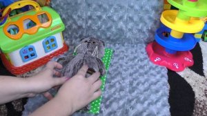 Мультик с игрушками Алиса как мама спасает кота Басика от страшной болезни