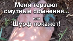 Меня терзают смутные сомнения... или Шурф покажет!