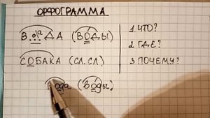 Орфограмма - что это такое, как правильно ее объяснять и проверять