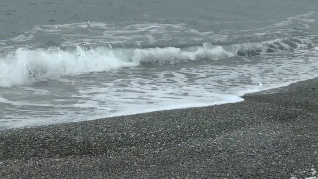 "В Сочи пришла Весна"/кинозарисовка из цикла "Капризы природы Закавказья"/. смотреть онлайн