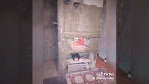 Печь-камин гармония и русская печь