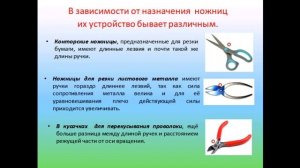 Физика 7 класс Рычаги в технике, быту и природе