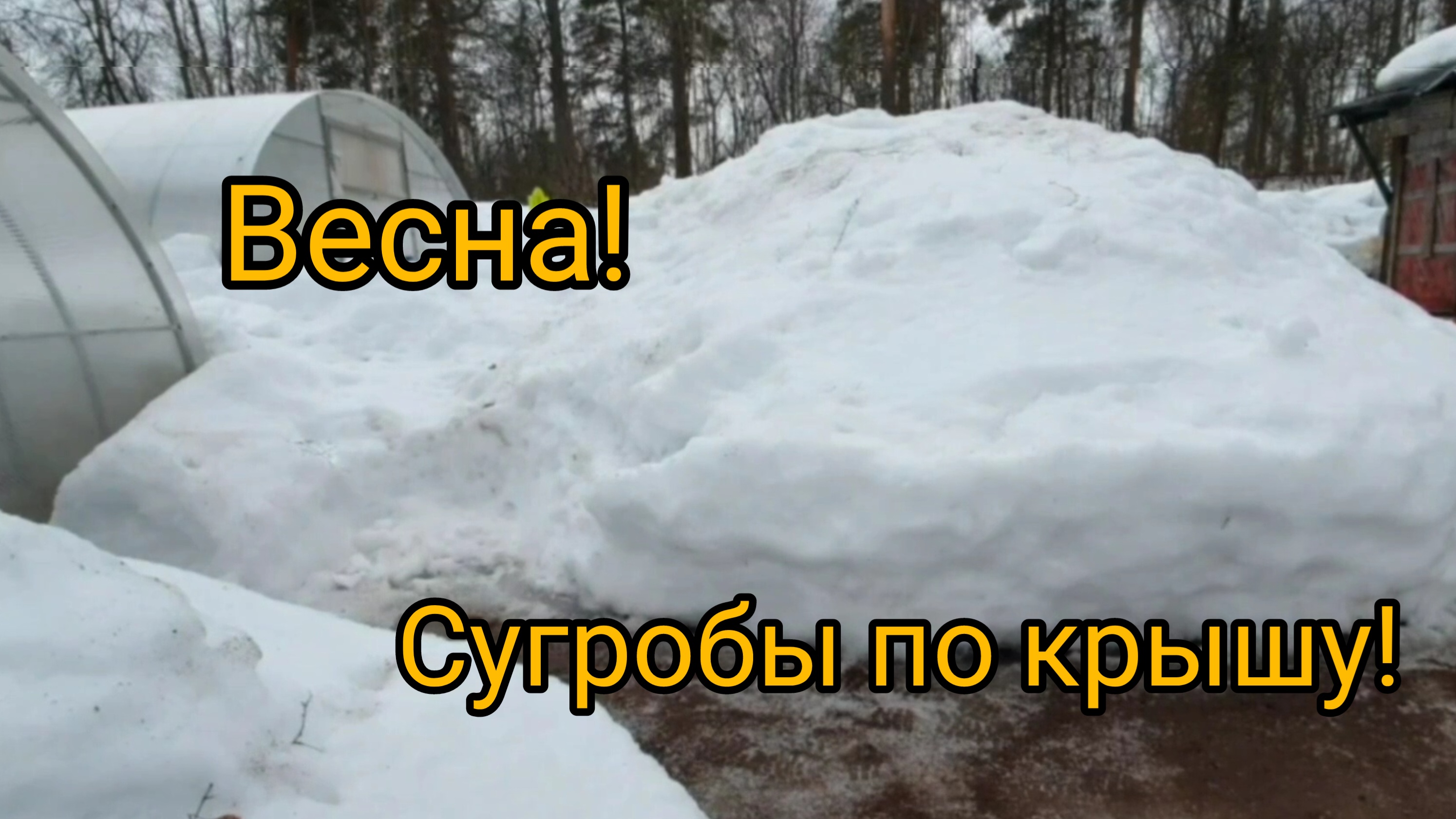 Сугробы на дачном участке потемнели части речи. Огромные сугробы Тагил.