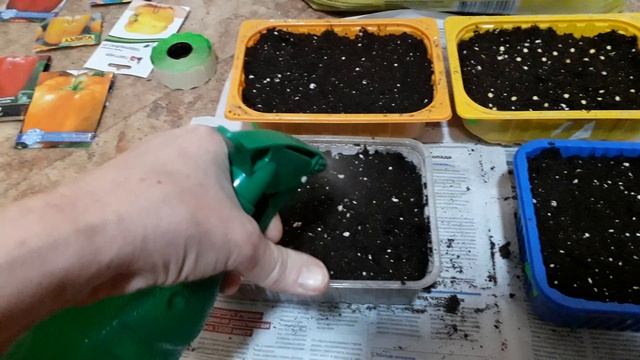 Сажаем рассаду.
Как правильно посадить рассаду перца, томата и баклажан