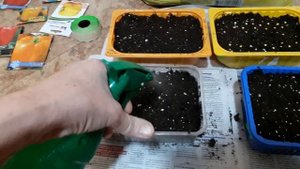 Сажаем рассаду.
Как правильно посадить рассаду перца, томата и баклажан