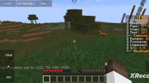 Как заприватить дом на сервере mc.reallyworld.ru