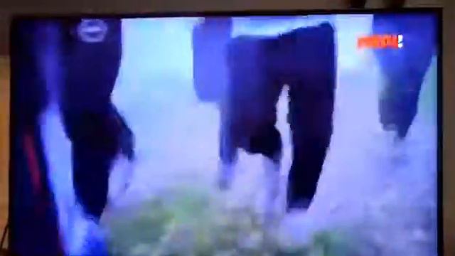 Работа доберманов. смотреть онлайн