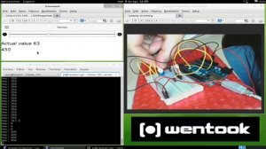 Internet of Things by wentook. Controlling a servo with Node Js.