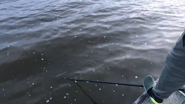 Рыбалка в Генезисе, суточный выезд на карповую рыбалку!!! смотреть онлайн