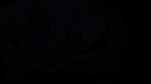 Жинжин ТАК ЛЕГКО