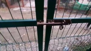 Заборы в Клину. Установка ворот со встроенной калиткой из 3д сетки в СНТ