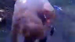 Стиль Журавля