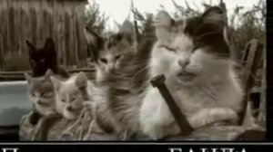 Мама это моя банда песня «Дети Банда»