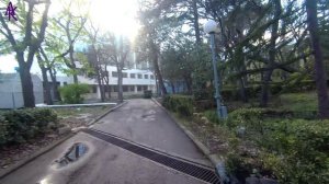 Крым. ЮБК. Гаспра. Тепло и солнечно. Снова в парке Харакс. ❤️ 21.04.2022