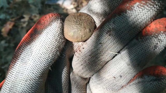 Коп в Репкинском районе. Интересные находки на старой дороге смотреть онлайн