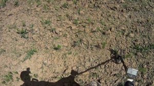 Реальный поиск и находки с металлоискателем Garrett Apex прошивка 1.28.1