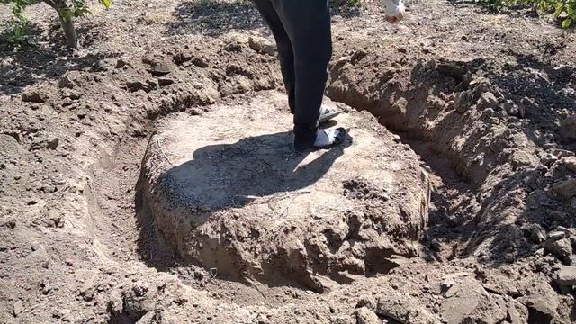Посадка огурцов, водоэмульсионка на балагане после дождя смотреть онлайн