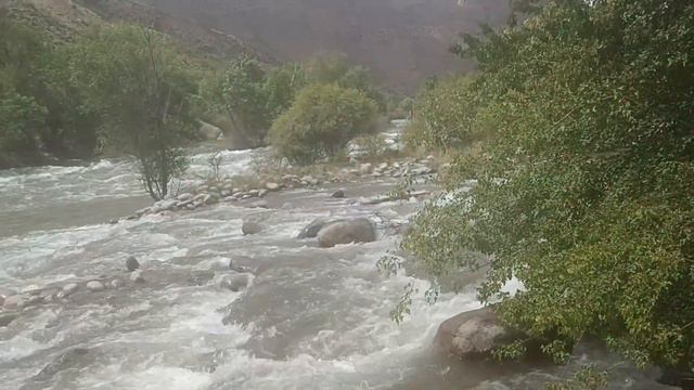 в горах Средней Азии смотреть онлайн