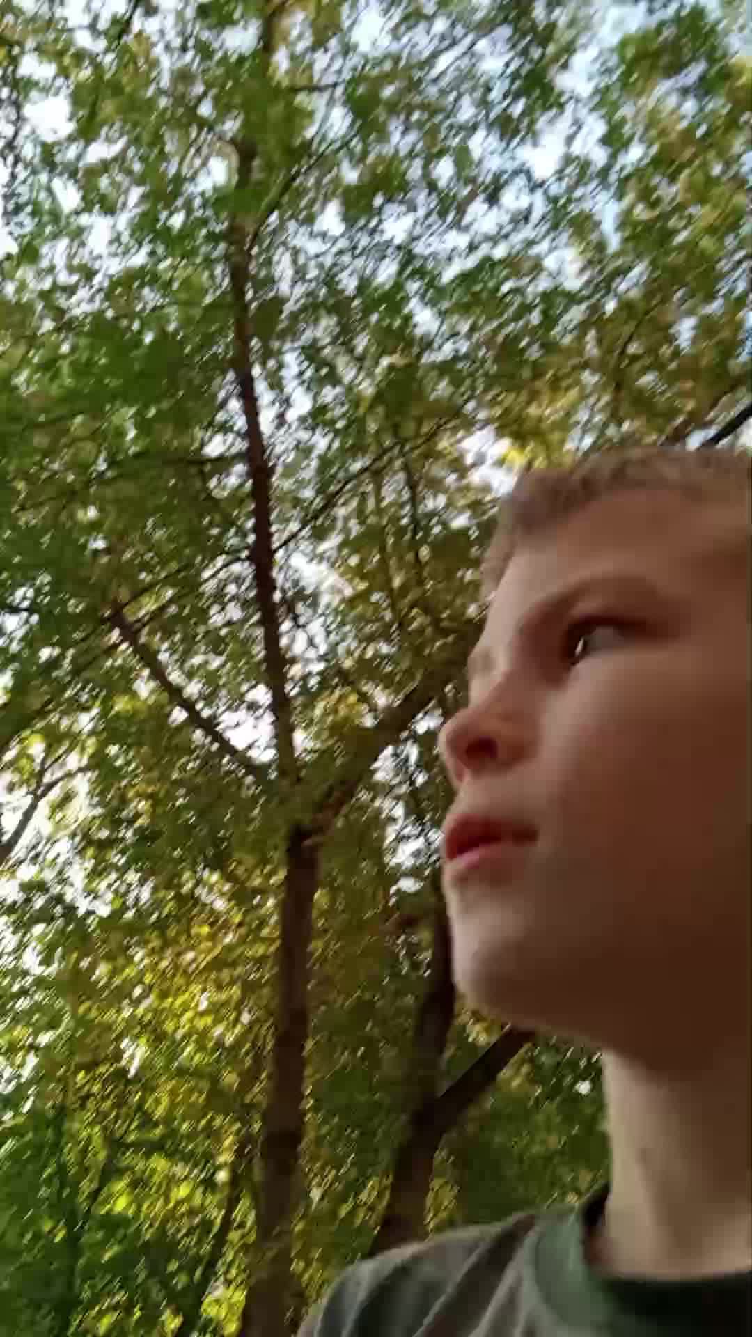 Подпишись