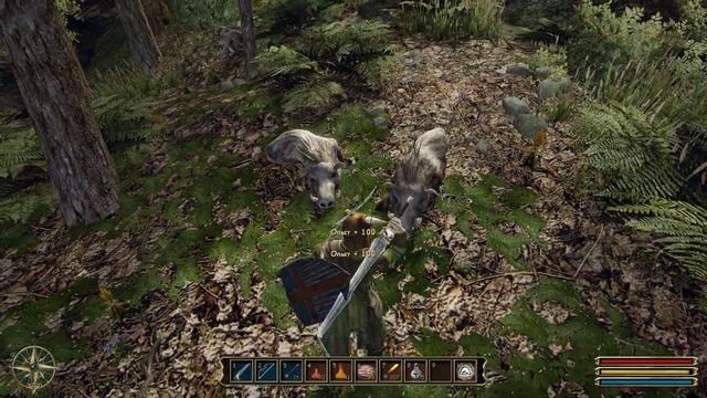 Gothic 3 Полное Прохождение. Часть 30 - Аног и Люди Для Окары.  #gothic3