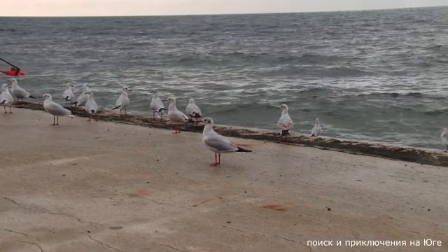 Конец ноября в Анапе Черное море
