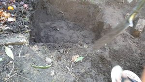 Как сделать навозную яму с нуля? Для красного червя, за пол часа.