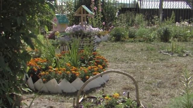 День в истории 10 августа смотреть онлайн