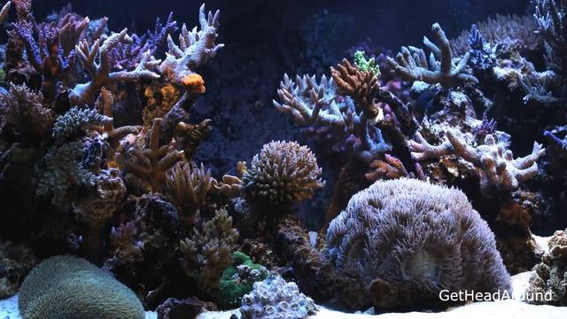 Медитативная музыка / Успокоение ума / Музыка для сна / Релакс / Meditation / Sleep / Relax / смотреть онлайн