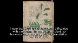 Voynich manuscript, translated from the dictionary  6 s