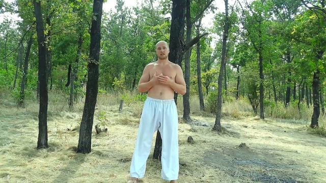 Стальные кулаки/Steel fists/Martial arts. Каратэ клуб СКИФ/Karate club SKIF. смотреть онлайн