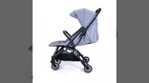 Коляска прогулочная Tomix Luna