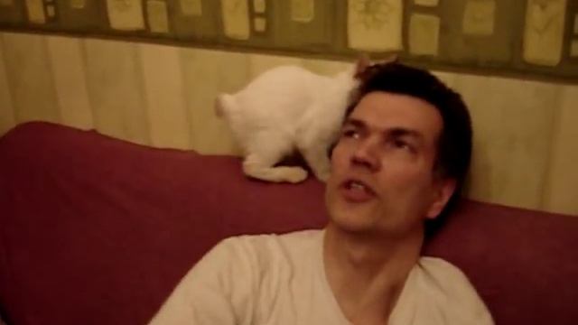 любвеобилие меконгов!!! смотреть онлайн