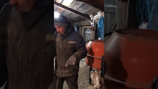 Домашний комбикормовый завод. Дешёвый комбикорм. Проще простого.