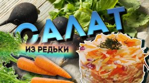 Салат из чёрной редьки. Полная тарелка витаминов.