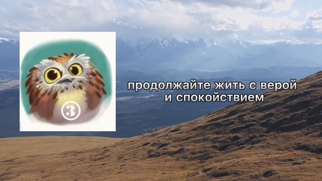Получите подсказки от Сов ?которые Вам нужно услышать. Психологические тесты