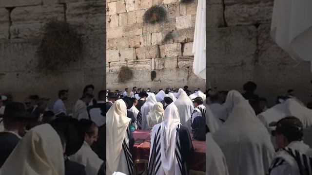Стена Плача.Иерусалим. смотреть онлайн