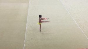 Художественная гимнастика Б/п 2008 г.