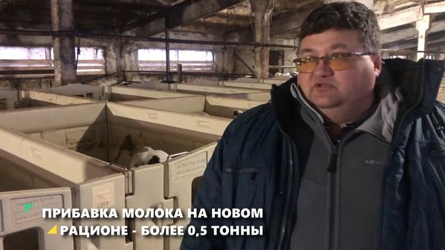 Откорм КРС эффективный способ для хозяйств и как сэкономить на кормах. смотреть онлайн