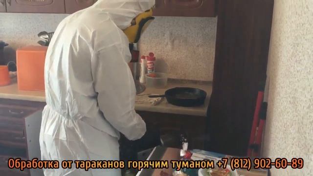 Обработка от тараканов горячим туманом