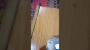 Терморегулятор для омшаника