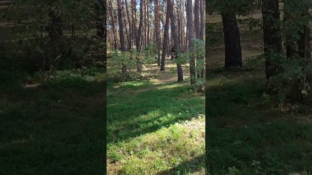 Video.Guru_20230616_125728649.mp4 смотреть онлайн