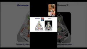 Определённости и открытости в бодиграфе. Обуславливание и Ложное Я в Дизайне Человека