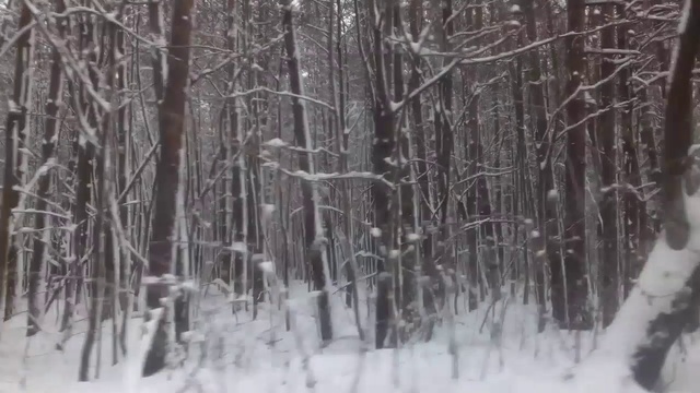 Едем кататься на горных лыжах! Харьков 2019 смотреть онлайн