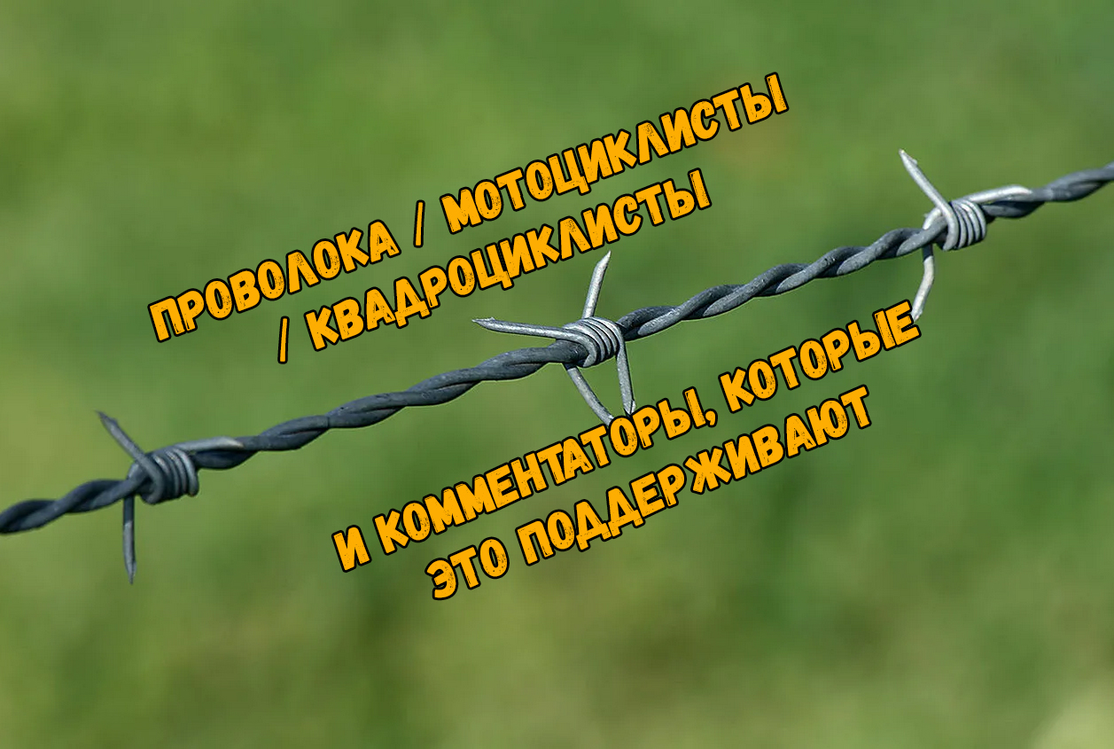 Зачем натягивают леску в лесу. Натянуть веревку между деревьями. Натянутая проволока в лесу. Натянутая леска в лесу. Натянутая леска мотоциклист.