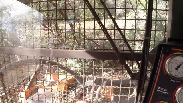 Knocking out a 50 acre mulching job PRIMETECH PT300 смотреть онлайн