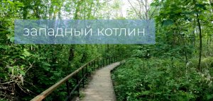 Заказник Западный Котлин. Форт Шанц [4k] ,West Kotlin Nature Reserve. Fort Schantz