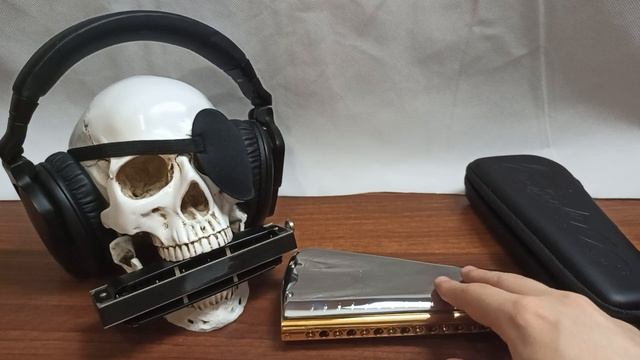 Обзор губной гармоники Suzuki SCT-128 смотреть онлайн